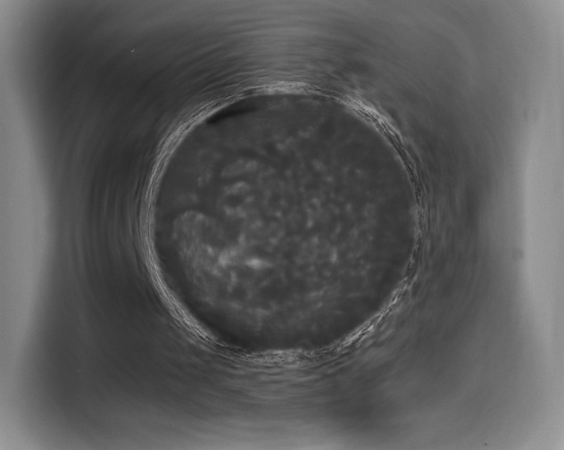 X0000114590049200910191606