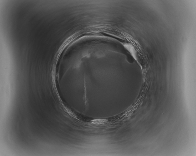 X0000114590051200910191606