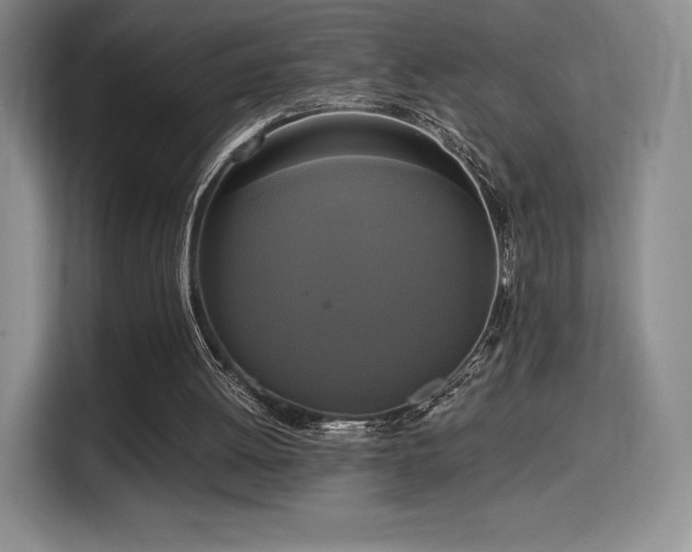 X0000114590052200910191606