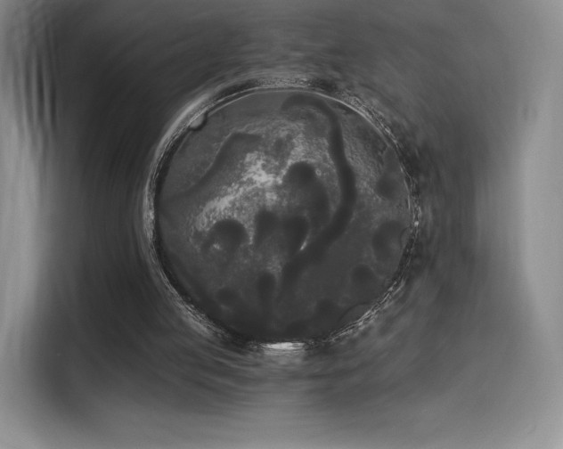 X0000114590053200910191606