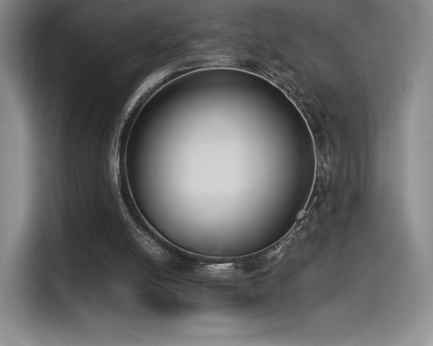 X0000114590054200910191606