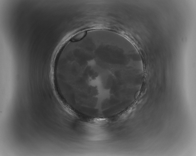 X0000114590055200910191606