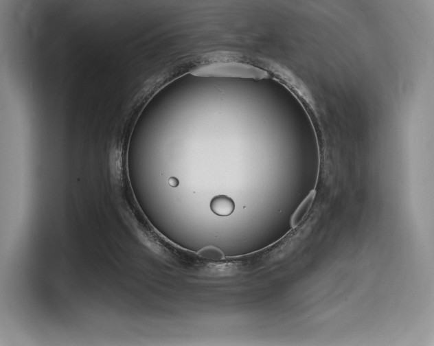 X0000114590057200910191606