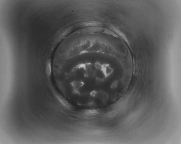 X0000114590061200910191606