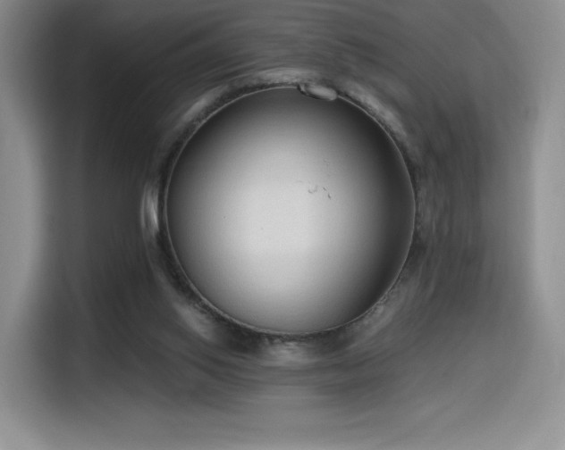 X0000114590062200910191606