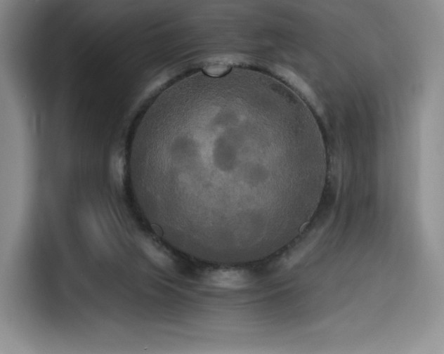 X0000114590063200910191606