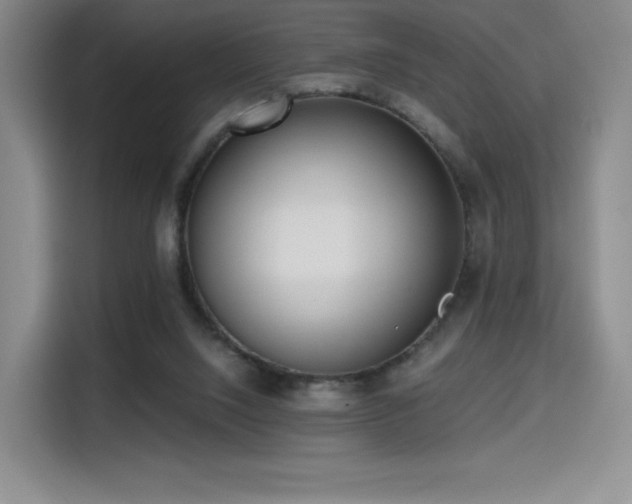 X0000114590064200910191606