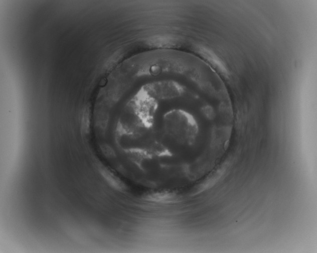 X0000114590065200910191606