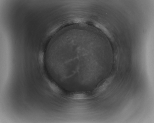 X0000114590066200910191606