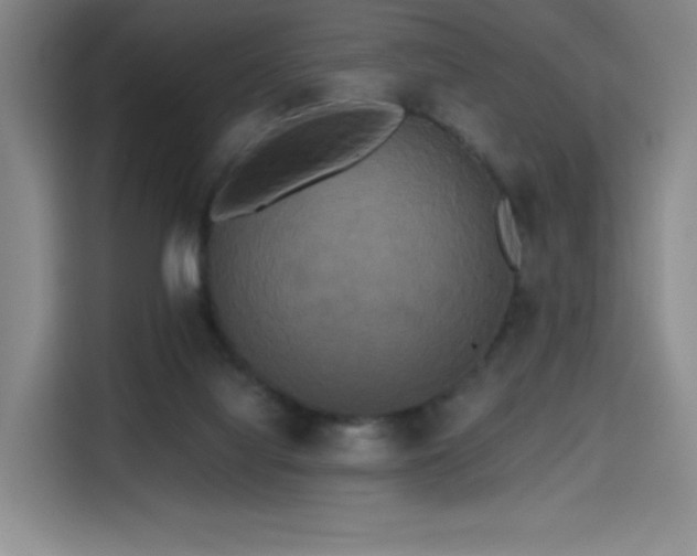 X0000114590068200910191606