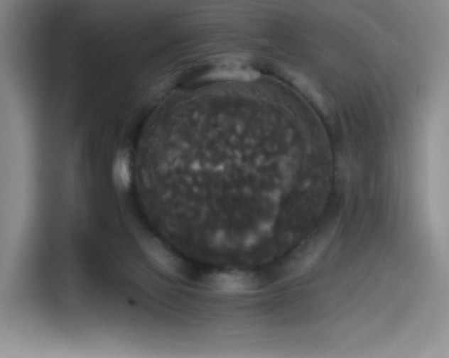 X0000114590069200910191606