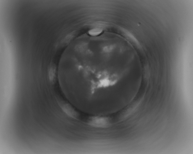 X0000114590073200910191606