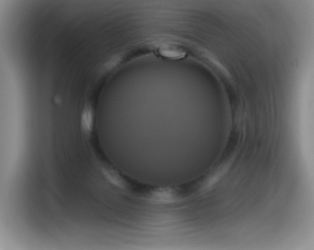 X0000114590076200910191606