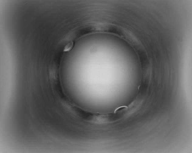 X0000114590078200910191606