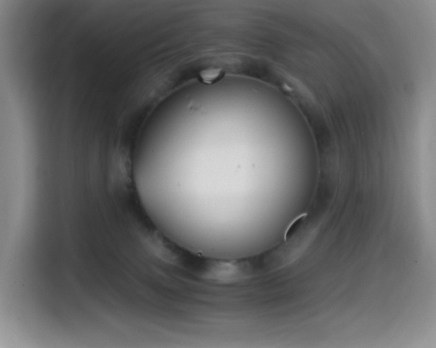 X0000114590083200910191606