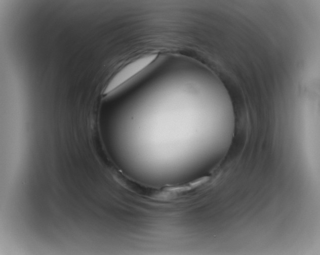 X0000114590084200910191606