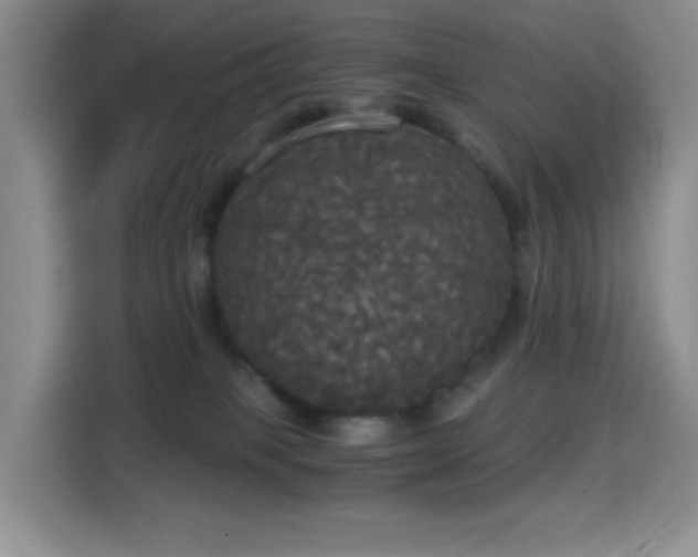 X0000114590085200910191606