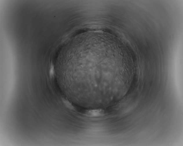 X0000114590089200910191606