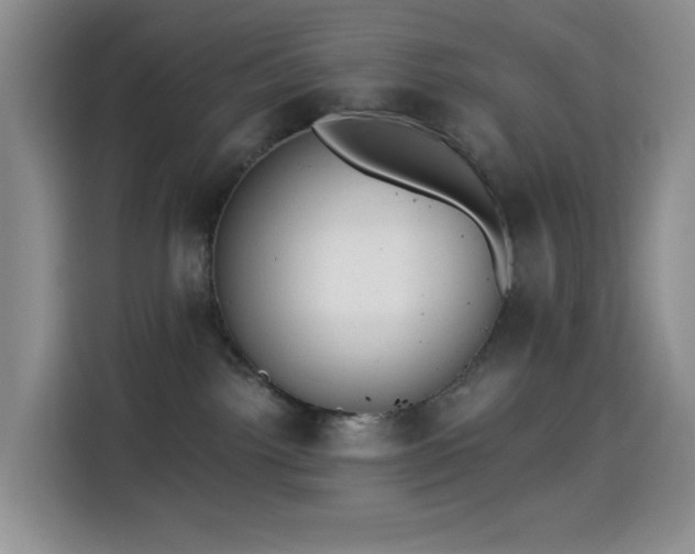 X0000114590092200910191606