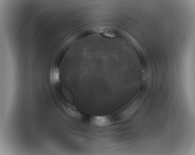 X0000114590095200910191606