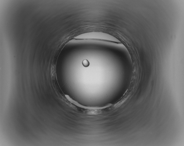 X0000114590096200910191606