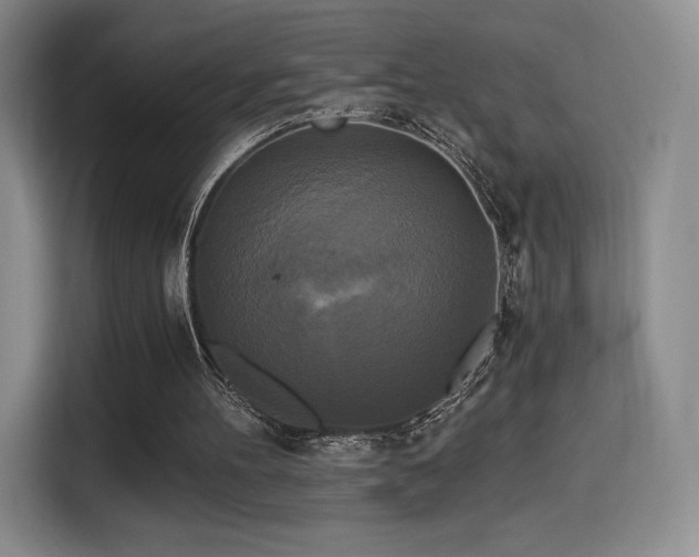 X0000114590100200910191605