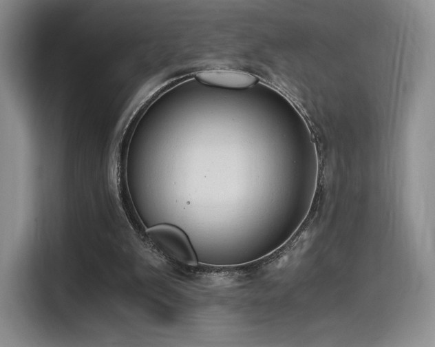 X0000114590103200910191605