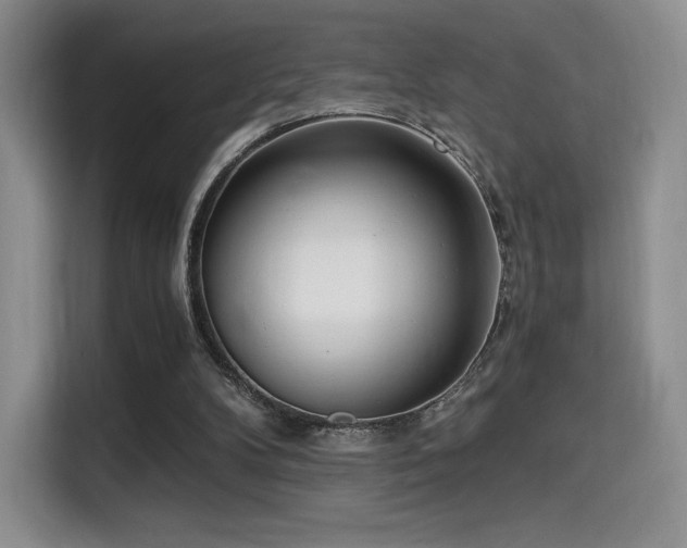 X0000114590104200910191605