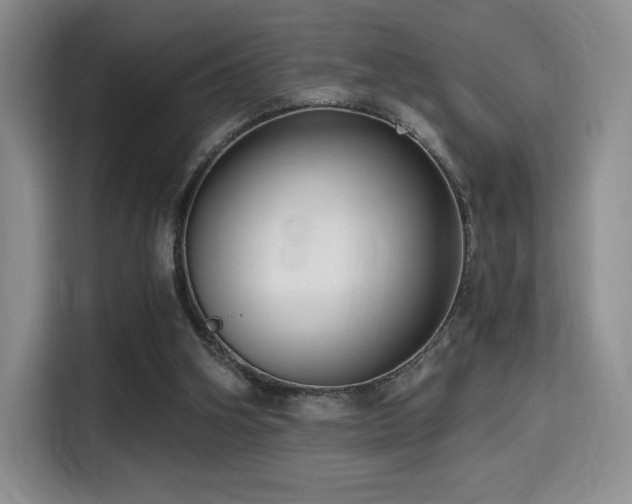 X0000114590106200910191605