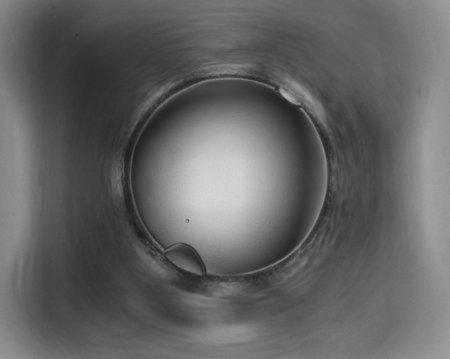 X0000114590107200910191605