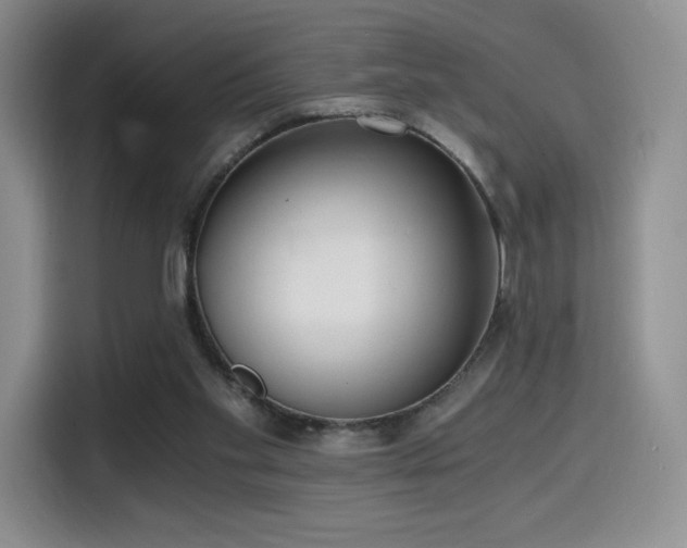 X0000114590109200910191605