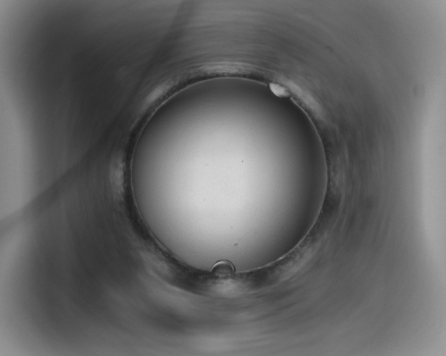 X0000114590111200910191605