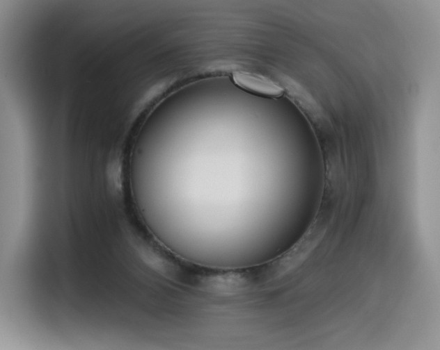 X0000114590112200910191605