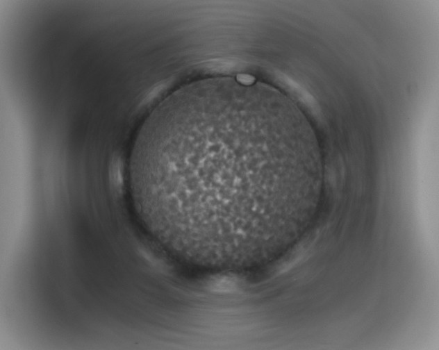 X0000114590115200910191605