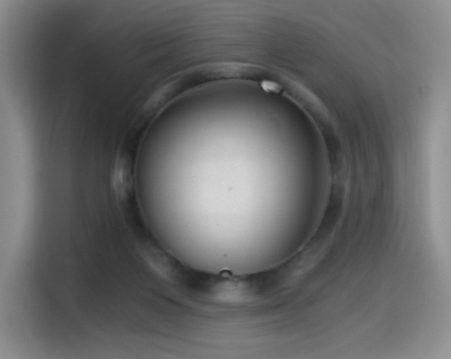 X0000114590119200910191605