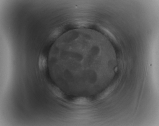 X0000114590123200910191605