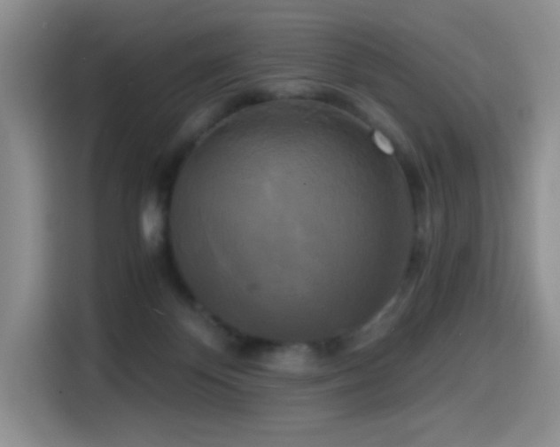 X0000114590124200910191605
