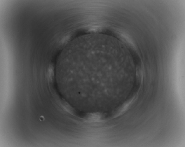 X0000114590127200910191605