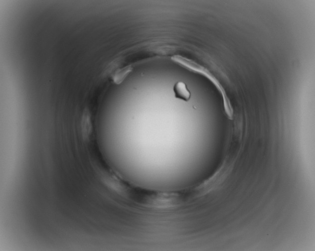 X0000114590128200910191605