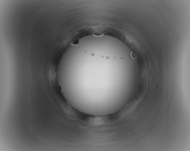 X0000114590129200910191605