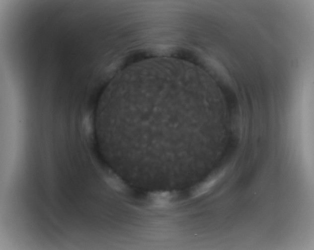 X0000114590131200910191605