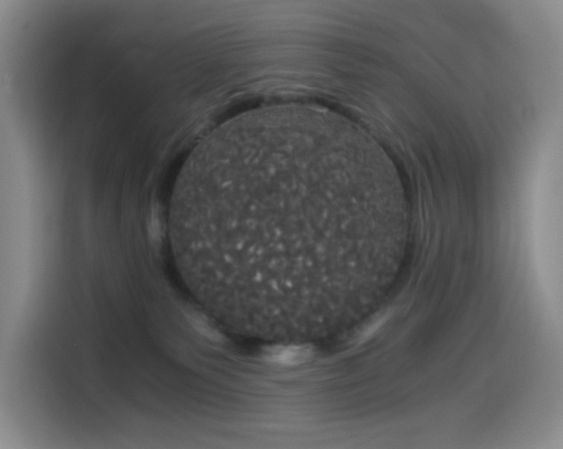 X0000114590135200910191605
