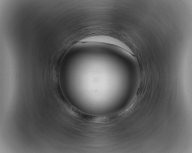 X0000114590136200910191605