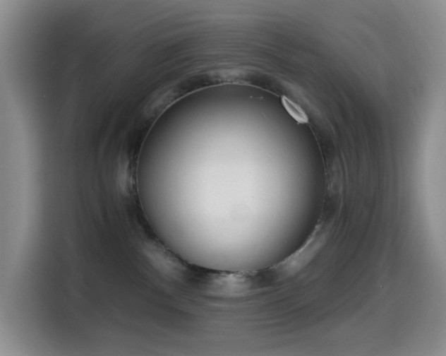 X0000114590140200910191605