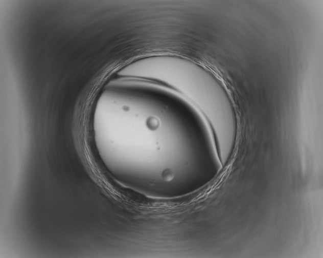 X0000114590145200910191604