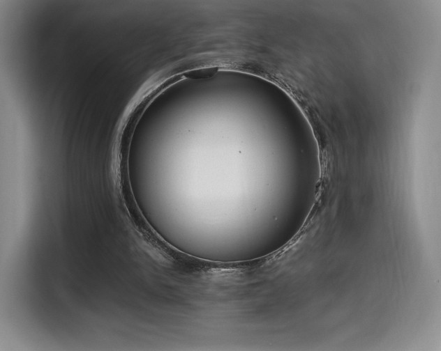 X0000114590150200910191604