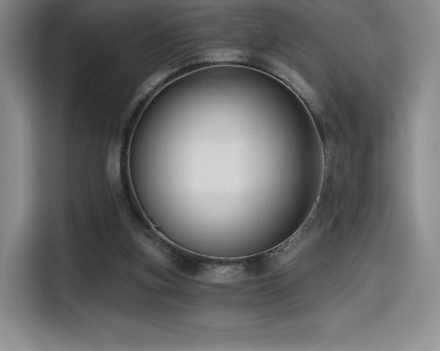 X0000114590155200910191604