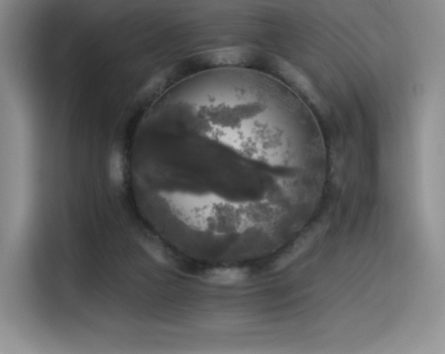 X0000114590161200910191604