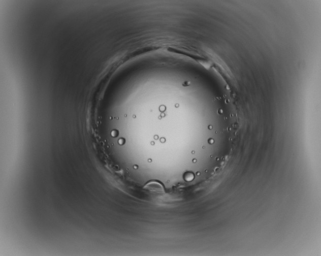 X0000114590163200910191604