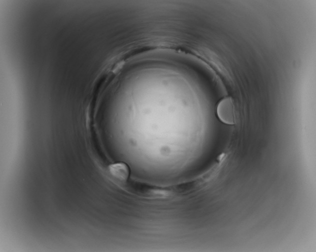X0000114590167200910191604